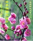 Published on 5/13/2013 ֹ,󷨵ӹʦ𻪵編ִ(15)
