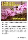 ֹ,󷨵ӹʦ𻪵߷ִգ17
