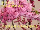 ֹ,󷨵ӹʦ𻪵߷ִգ17
