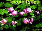 Published on 5/13/2013 法轮功,长春大法弟子恭贺师尊华诞暨法轮大法日(30条)
