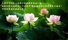 ֹ,󷨵ӹʦ𻪵߷ִ(30)

