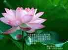 Published on 5/13/2013 ֹ,½󷨵ӹʦ𻪵߷ִ(39)
