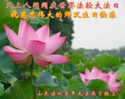 ֹ,Ϋ󷨵ӹʦ𻪵߷ִգ30
