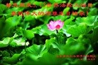 ֹ,ൺ󷨵ӹʦ𻪵߷ִգ32
