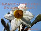ֹ,ݴ󷨵ӹʦ𻪵߷ִգ30
