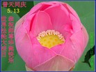 Published on 5/13/2013 ֹ,մ󷨵ӹʦ𻪵߷ִ(29)
