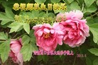 ֹ,½󷨵ӹʦ𻪵߷ִ(30)
