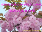 ֹ,½󷨵ӹʦ𻪵߷ִ(30)
