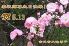 ֹ,ʡ󷨵ӹʦ𻪵߷ִ(24)
