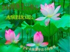 ֹ,½󷨵ӹʦ𻪵߷ִ(30)
