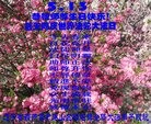 ֹ,«󷨵ӹʦ𻪵߷ִ(23)
