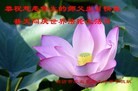 ֹ,½󷨵ӹʦ𻪵߷ִ(31)
