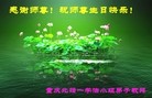 法轮功,大陆大法弟子恭贺师尊华诞暨法轮大法日(31条)
