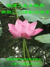 ֹ,½󷨵ӹʦ𻪵߷ִ(31)

