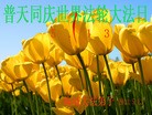 ֹ,½󷨵ӹʦ𻪵߷ִ(31)
