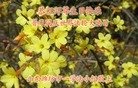 Published on 5/13/2013 ֹ,½󷨵ӹʦ𻪵߷ִ(36)
