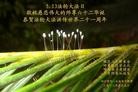 Published on 5/13/2013 ֹ,½󷨵ӹʦ𻪵߷ִ(36)
