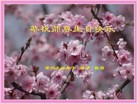 ֹ,½󷨵ӹʦ𻪵߷ִ(31)
