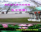 Published on 5/13/2013 法轮功,大陆大法弟子恭贺师尊华诞暨法轮大法日(46条)
