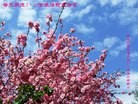Published on 5/13/2013 ֹ,½󷨵ӹʦ𻪵߷ִ(40)
