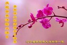 ֹ,󷨵ӹʦ𻪵߷ִ(28)
