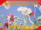 ֹ,«󷨵ӹʦ𻪵߷ִ(20)
