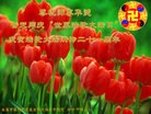 ֹ,󷨵ӹʦ𻪵߷ִ(21)
