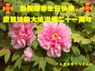 ֹ,ϴ󷨵ӹʦ𻪵߷ִ(20)
