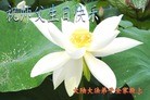 Published on 5/13/2013 ֹ,½󷨵ӹʦ𻪵߷ִ(36)
