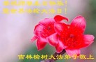 Published on 5/13/2013 ֹ,½󷨵ӹʦ𻪵߷ִ(36)
