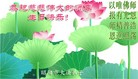 法轮功,湖南大法弟子恭贺师尊华诞暨法轮大法日(28条)
