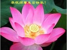 Published on 5/13/2013 ֹ,½󷨵ӹʦ𻪵߷ִ(36)
