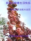 ֹ,󷨵ӹʦ𻪵߷ִ(28)
