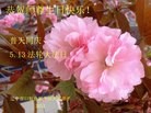 ֹ,󷨵ӹʦ𻪵߷ִ(28)
