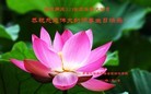 ֹ,ൺ󷨵ӹʦ𻪵߷ִ(29)
