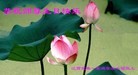 ֹ,󷨵ӹʦ𻪵߷ִ(29)
