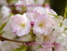 ֹ,մ󷨵ӹʦ𻪵߷ִ(30)
