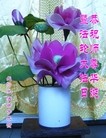 法轮功,长沙大法弟子恭贺师尊华诞暨法轮大法日(21条)
