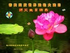 Published on 5/13/2013 ֹ,½󷨵ӹʦ𻪵߷ִ(46)
