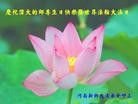 Published on 5/13/2013 ֹ,½󷨵ӹʦ𻪵߷ִ(46)
