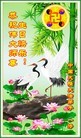 Published on 5/13/2013 法轮功,大陆大法弟子恭贺师尊华诞暨法轮大法日(46条)
