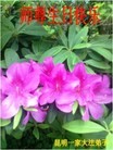 Published on 5/13/2013 ֹ,½󷨵ӹʦ𻪵߷ִ(47)

