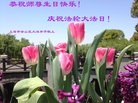 Published on 5/13/2013 ֹ,½󷨵ӹʦ𻪵߷ִ(47)

