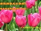 Published on 5/13/2013 ֹ,½󷨵ӹʦ𻪵߷ִ(47)
