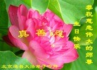 Published on 5/13/2013 ֹ,½󷨵ӹʦ𻪵߷ִ(46)
