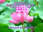 Published on 5/13/2013 法轮功,大陆大法弟子恭贺师尊华诞暨法轮大法日(46条)
