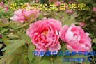 ֹ,ϴ󷨵ӹʦ𻪵編ִգ21
