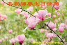 ֹ,ൺ󷨵ӹʦ𻪵編ִգ16
