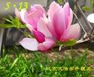 ֹ,󷨵ӹʦ𻪵߷ִգ20
