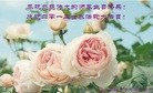 ֹ,д󷨵ӹʦ𻪵߷ִգ22
